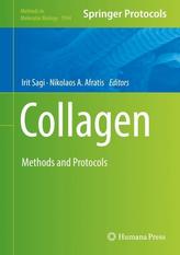 Collagen