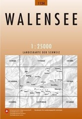 Swisstopo 1 : 25 000 Walensee