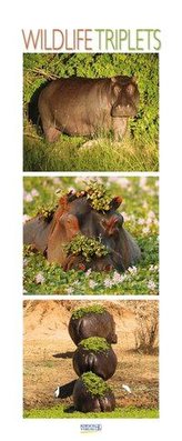 Wildlife Triplets 2021