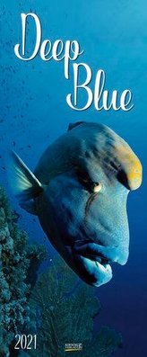 Deep Blue 2021