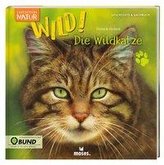 Expedition Natur: WILD! Die Wildkatze