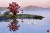 Spirit of nature 2021