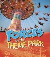  Forces at the Theme Park