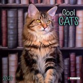 Cool Cats 2021