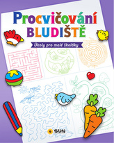 Procvičování Bludiště