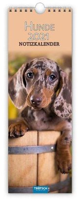 Hunde 2021 Streifenkalender