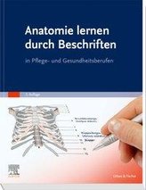 Anatomie lernen durch Beschriften