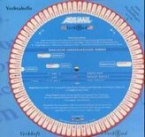 VerbRad Englische unregelmäßige Verben