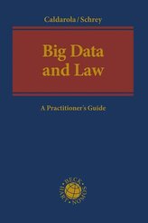 Big Data and Law