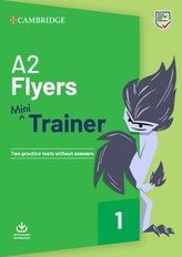 Fun Skills Flyers. Mini Trainer Pack