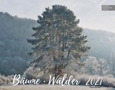 Bäume-Wälder 2021