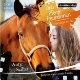 Drei Pferdefreundinnen - Diebesjagd am Set