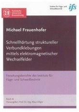 Schnellhärtung struktureller Verbundklebungen mittels elektromagnetischer Wechselfelder