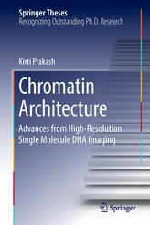 Chromatin Architecture