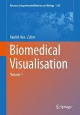 Biomedical Visualisation Volume 1