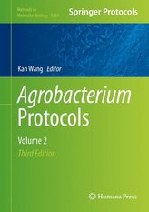 Agrobacterium Protocols 02