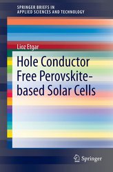Hole Conductor Free perovskite based Solar Cells