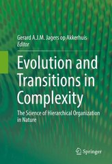 Evolution and Transitions in Complexity