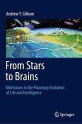 From Stars to Brains: Milestones in the Planetary Evolution of Life and Intelligence