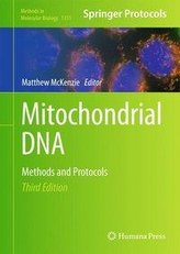 Mitochondrial DNA