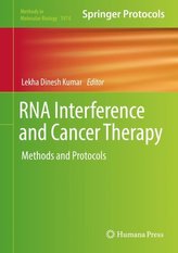 RNA Interference and Cancer Therapy
