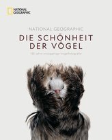 National Geographic Die Schönheit der Vögel