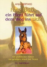 Hale Bob - ein Pferd führt auf dem Weg ins Licht