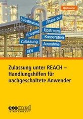 Zulassung unter REACH - Handlungshilfen für nachgeschaltete Anwender