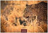 African Wildlife 2021 - Format S