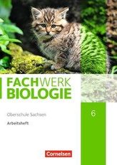 Fachwerk Biologie 6. Schuljahr - Sachsen - Arbeitsheft