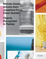 Objects Recognized in Flashes