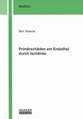 Primärschäden am Endothel durch Ischämie