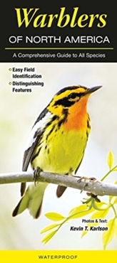  WARBLERS OF NORTH AMERICA