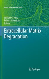 Extracellular Matrix Degradation