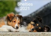 Shelties 2021 (Wandkalender 2021 DIN A3 quer)