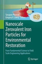 Nanoscale Zerovalent Iron Particles for Environmental Restoration