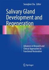 Salivary Gland Development and Regeneration