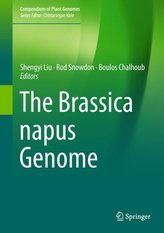 The Brassica napus Genome