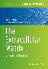 The Extracellular Matrix