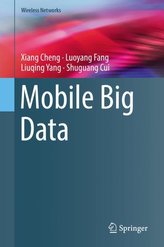 Mobile Big Data