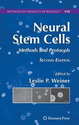 Neural Stem Cells
