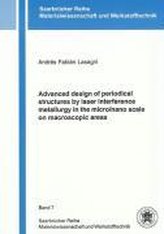 Advanced design of periodical structures by laser interference metallurgy in the micro/nano scale on macroscopic areas