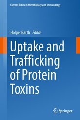 Uptake and Trafficking of Protein Toxins