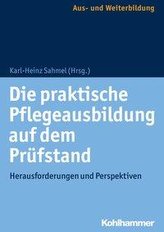 Die praktische Pflegeausbildung auf dem Prüfstand