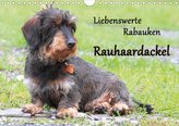 Liebenswerte Rabauken Rauhaardackel / CH-Version (Wandkalender 2021 DIN A4 quer)