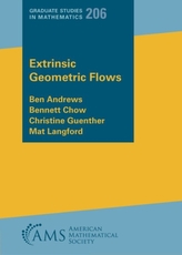  Extrinsic Geometric Flows