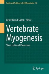 Vertebrate Myogenesis