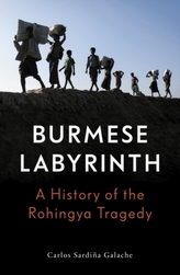 The Burmese Labyrinth (Lbe)