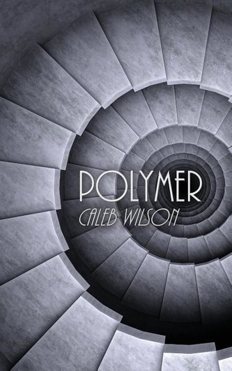 Polymer Polymer