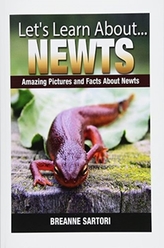  NEWTS